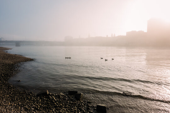 Rock shore near birds on water