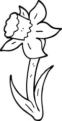 black and white cartoon daffodil