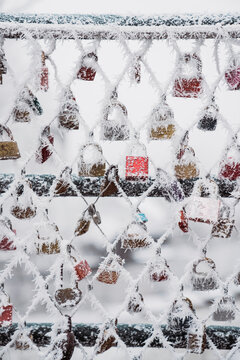 Hoarfrost on love locks