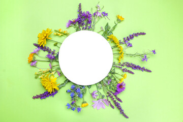a bouquet of various summer wildflowers on a delicate light green background. Cornflower, sage and buttercups