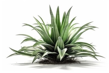 Obraz premium healthy green plant with roots growing out of the soil. Generative AI