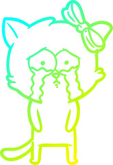 cold gradient line drawing cartoon cat