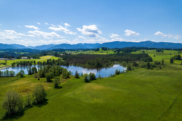 Fototapeta na wymiar aerial view of green fields of allgaeu and meadows and alps in the background