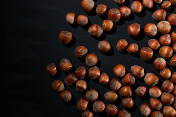 Hazelnuts on a black background. Natural hazelnuts in shell