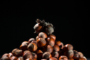 Obraz premium A bunch of hazelnuts on a black background. Nature hazelnuts in shell