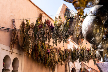 Dried flowers and herbs in the medina of Marrakech
