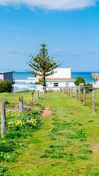 Humble beach shack by the sea, with vacant land behind