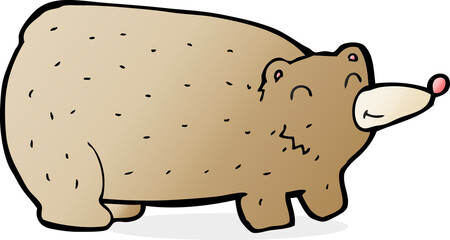 funny cartoon bear