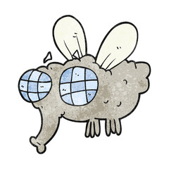 textured cartoon fly