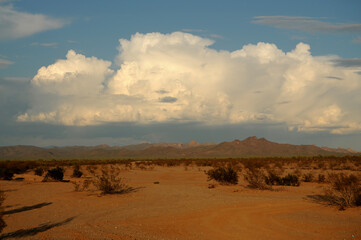 Fototapeta na wymiar Storm Clouds Sonora Desert Arizona