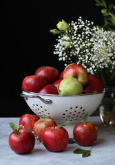 Naklejka na ściany i meble Fruit still life. Red apples, open book, white gypsophila flowers on a table. Black background with copy space. Vivid colors of seasonal fruit. 