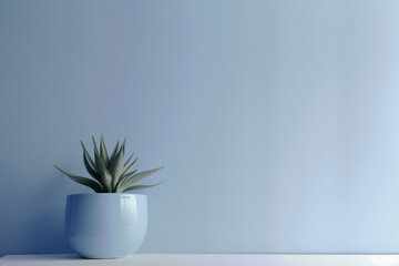 Minimalistic blue background with aloe vase plant on a table - AI Generated
