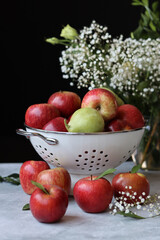 Fruit still life. Red apples, open book, white gypsophila flowers on a table. Black background with copy space. Vivid colors of seasonal fruit. 