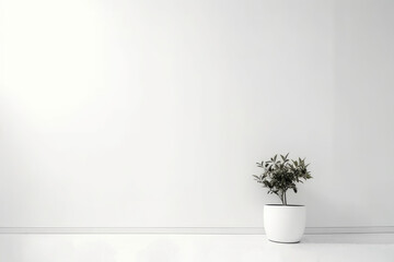 Minimalistic white background with vase plant on the floor - AI Generated