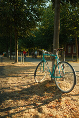 Fototapeta premium Retro bike with the brown leather saddle at Munster Castle in Muenster, NRW, Germany
