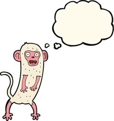 cartoon crazy monkey with thought bubble