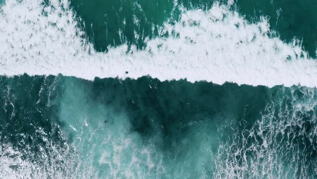 Aerial view of surfers in California.