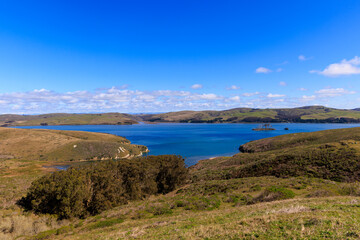 Small blue bay in dry green hills of coastal California on sunny day
