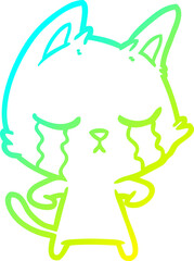 cold gradient line drawing crying cartoon cat