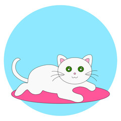 white cat