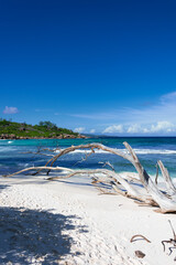 Amazing empty beach on Seychelles - 586627519