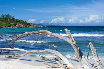 Amazing empty beach on Seychelles - 586627719