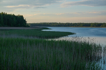 Obraz premium morning on the lake