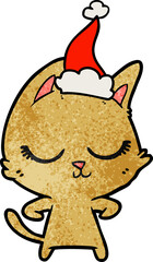 calm textured cartoon of a cat wearing santa hat