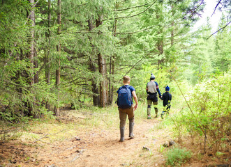 hiking in the woods