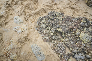 Rocky Beach, wave and footprints during the day. Texture background Footprints of human feet on the sand near the water on the beach.