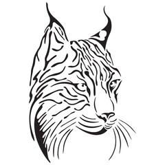 Portrait of a muzzle of a lynx in black, drawn with different lines. Design for logo, tattoo, mascot, symbol, emblem, keychain, paper, postcard, book, clothing print. Vector isolated
