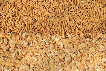 Oat grains and oat flakes. Raw dry organic whole grain oatmeal. Useful healthy breakfast for energy. High fiber content. Autumn harvest of grain. Healthy eating. Top view. Oat groats.