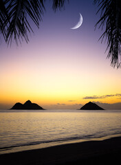 moon rising on a Hawaiin beach with palm trees