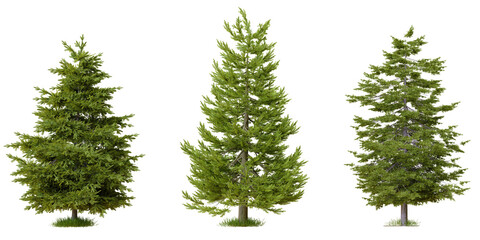 PNG tree file design for drag and drop and fasrt use, 3d illustration rendering