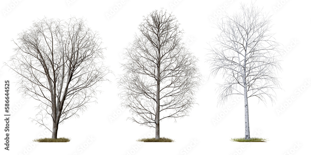 Poster death tree collection png transparent tree, 3d illustration rendering