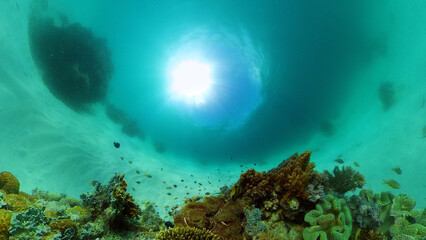Underwater Tropical Reef View. Tropical fish reef marine. Soft-hard corals seascape. Philippines.