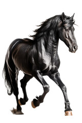 an equestrian-themed photographic illustration of a warm-blood brown draft horse rearing and running on a transparent background in PNG. T-shirt design. Generative AI