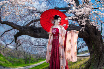 Beautiful Chinese woman wearing a red cheongsam with an umbrella in the cherry blossom garden. - 586646776