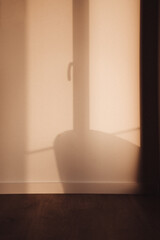 Luz de final de tarde na sala