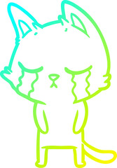 cold gradient line drawing crying cartoon cat