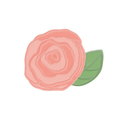 acrylic oil paint element style valentine thing_pink rose _file png