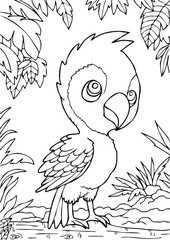 Coloring book for kids.Worksheets for teachers to teach.Macaw parrot in the forest.