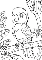 Coloring book for kids.Worksheets for teachers to teach.Macaw parrot in the forest.