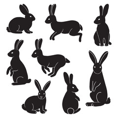 Rabbit Set, Isolated On White Background
