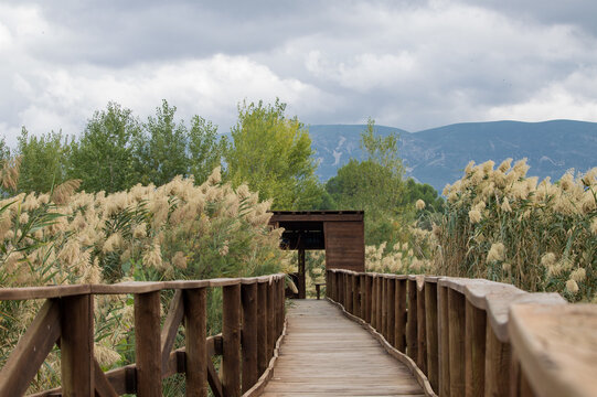Puente de acceso fabricado en madera del observatorio de la Albufera de Gaianes con paisaje fondoso