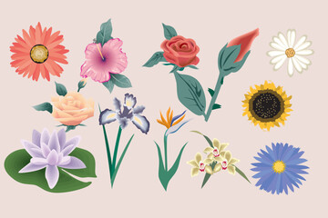 vector colorful flowers design art