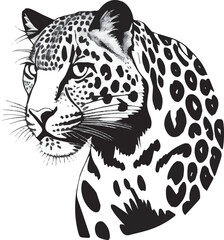 leopard head drawing vector graphics