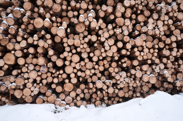 Pile of logged tree trunks. Sawn trees from the forest. Logging timber wood industry.