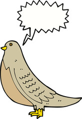 cartoon common bird with speech bubble