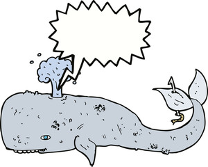 cartoon whale with speech bubble